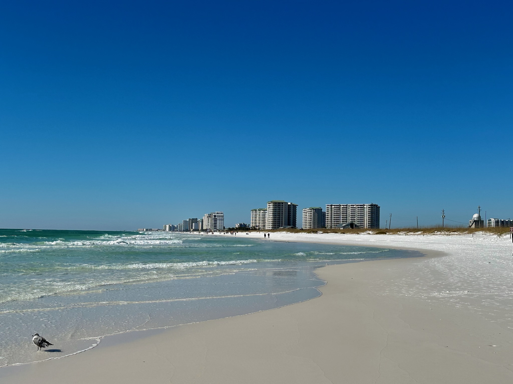 View of the beach